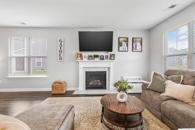 Living room with visible vents, baseboards, wood finished floors, and a premium fireplace