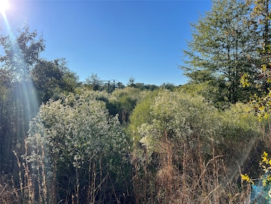 3711 Felix Currie Rd, Point Blank, TX 77364 - photo 4