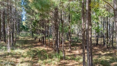 151 Garbacon Dr, Beaufort, NC 28516 - photo 6