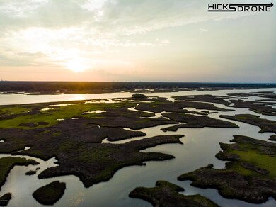 Aerial view of marsh