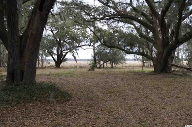 159 Acres Windsor Green Way unit Pig Pen Tract, Georgetown, SC 29440 - photo 2