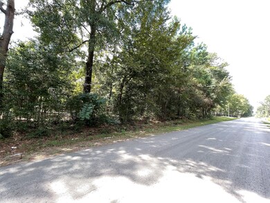 0 County Road 373 unit 48237845, Splendora, TX 77372 - photo 5