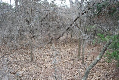 14067 Sandy Oaks Dr, Whitney, TX 76692 - photo 5