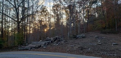 0 107 Ac Board Valley Rd unit 1137801, Cookeville, TN 38506 - photo 5