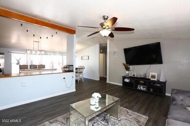 Vaulted Ceiling Great Room