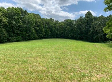 772 Leivasy Rd, Nettie, WV 26681 - photo 6