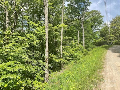 000 El Miner Dr unit 577, Mars Hill, NC 28754 - photo 3