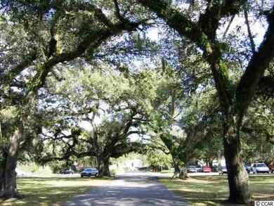 97 Wraggs Ferry Rd, Georgetown, SC 29440 - photo 4