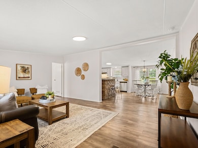LARGE LIVING ROOM