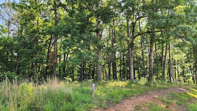Lot from road
