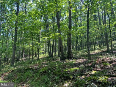 9 & 22 Mount Top Rd, Lost River, WV 26801 - photo 4