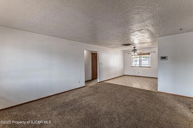 319 N Moore St, Bloomfield, NM 87413 - photo 3