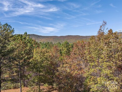 00 River Park Ln unit 27, White Oak, NC 28756 - photo 5