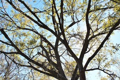 628 Austin St, Columbus, TX 78934 - photo 5