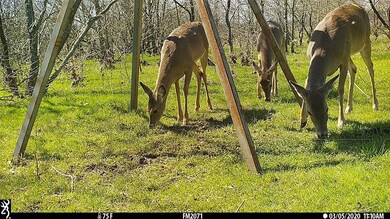 0000 Farm To Market Road 2071, Gainesville, TX 76240 - photo 5