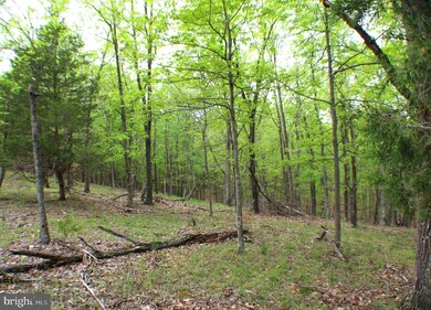 8.01 ac Morgantown Rd, Maysville, WV 26833 - photo 3