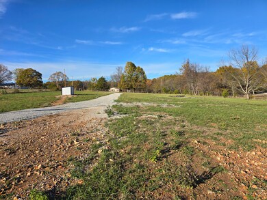 13621 Farm Road 2175, Cassville, MO 65625 - photo 7