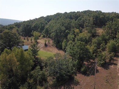 0 Butler Rd unit 1068047, Prairie Grove, AR 72753 - photo 4