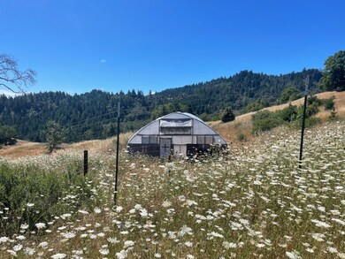 IMG_0105