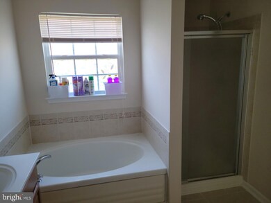 10 Streamside Place, Falling Waters, WV 25419 - photo 3