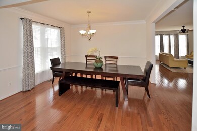 43073 Edgewater St, Chantilly, VA 20152 - photo 6