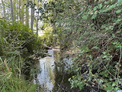 NKA Taylor Ranch Rd, Sequim, WA 98382 - photo 7