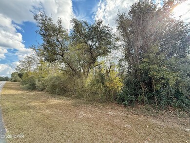 Lot 23 Nortek Blvd, Marianna, FL 32448 - photo 4
