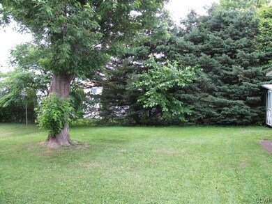 Nicely sized back yard