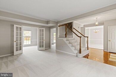 7037 Bedrock Rd, Alexandria, VA 22306 - photo 3