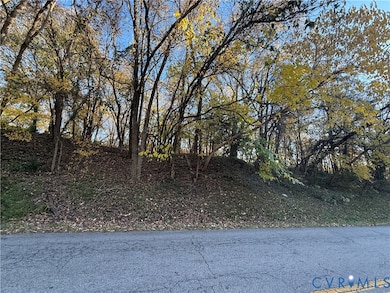 0 Old Halifax Rd, Danville, VA 24540 - photo 2