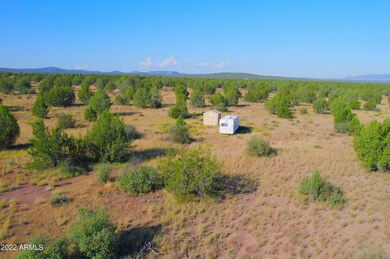 TBD Wagon Tree Rd 9 92 Acres --, Ash Fork, AZ 86320 - photo 5