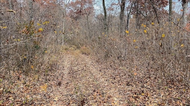 000 E Dade 4, Dadeville, MO 65635 - photo 6