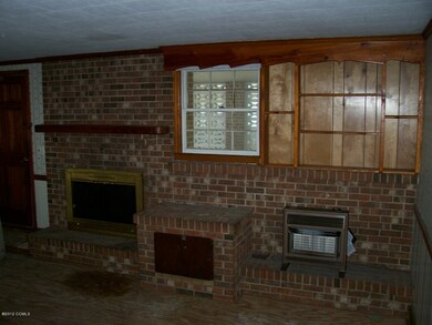 Den with Fireplace