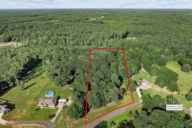 TBD Pond Lake Rd (Pr 1239), Elysian Fields, TX 75642 - photo 3