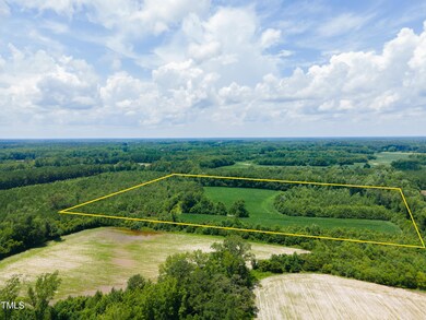 MODIFIED-2025-06-18-DJI_0196
