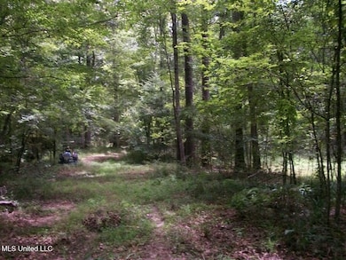Tbd Oldenburg Rd, Meadville, MS 39653 - photo 4