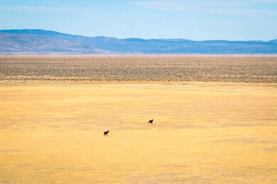 737-455 Herlong Access Rd, Doyle, CA 96109 - photo 4