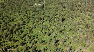 DJI_0853