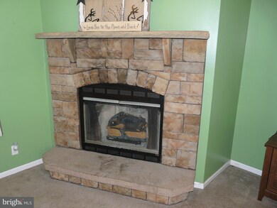 163 Lower Forge Rd, New Market, VA 22844 - photo 4