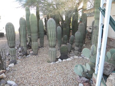 Other side yard