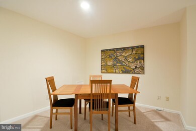 101 Skyhill Rd unit 101, Alexandria, VA 22314 - photo 6