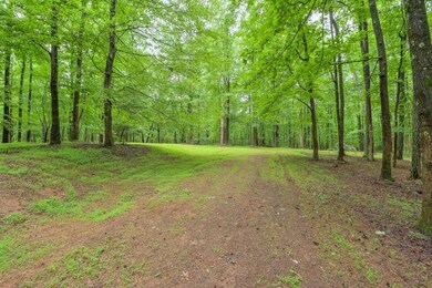 Lot3B Squire Ln, Cumming, GA 30041 - photo 4