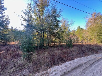 0 0 Nw 7th Place unit MFROM694137, Ocala, FL 34482 - photo 5