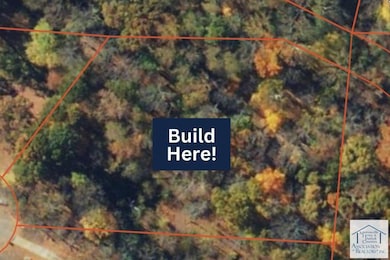 0 Turner Ashby Rd, Chatmoss, VA 24112 - photo 3