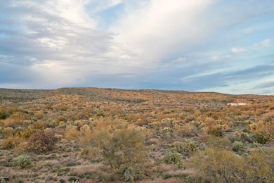 Northwestern View