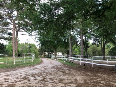 26411.1/2 Dobbin Hufsmith Rd, Magnolia, TX 77354 - photo 3