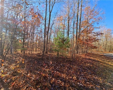 175 Rothfield Cir, Daniels, WV 25918 - photo 2