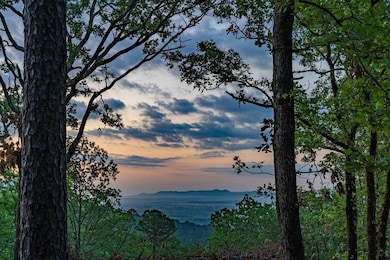 4 Timber Ridge, Tuskahoma, OK 74574 - photo 2