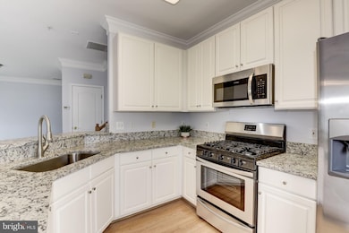 1734 Kingsgate Ct unit 303, Alexandria, VA 22302 - photo 4
