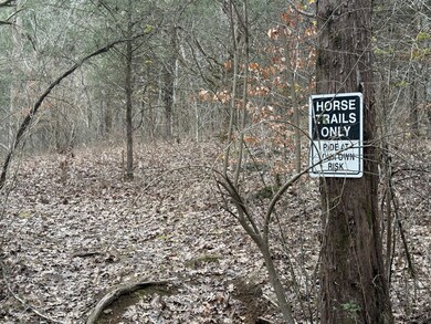 0 Cook Ln unit RTC3054661, Gainesboro, TN 38562 - photo 7